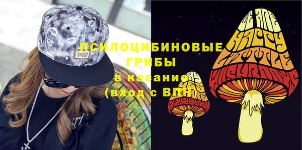 2c-b Богородск