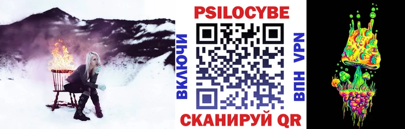 где можно купить наркотик  Каргат  гидра tor  Галлюциногенные грибы Cubensis 